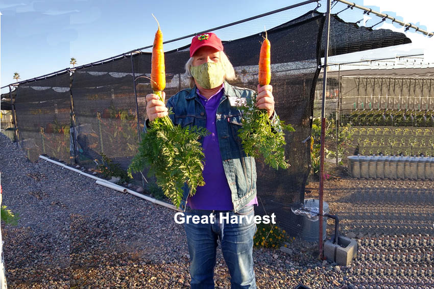 Great Harvest 850x567