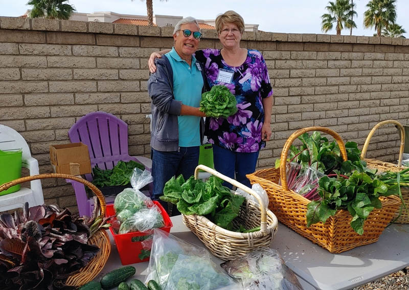 0319220914_HDR 800x567