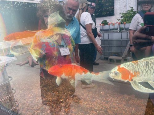 AZ-Worm-Farm-Tour-2026-no3