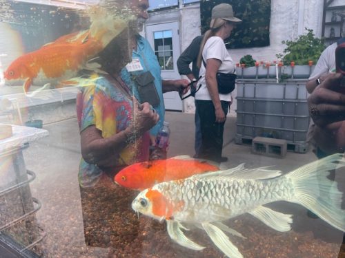 AZ-Worm-Farm-Tour-2026-no4