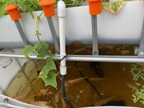 AZ-Worm-Farm-Tour-2026-no6