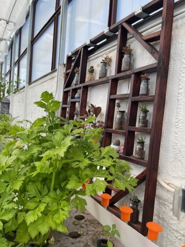 AZ-Worm-Farm-Tour-2026-no8