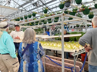 Yavapai-greenhouse-7